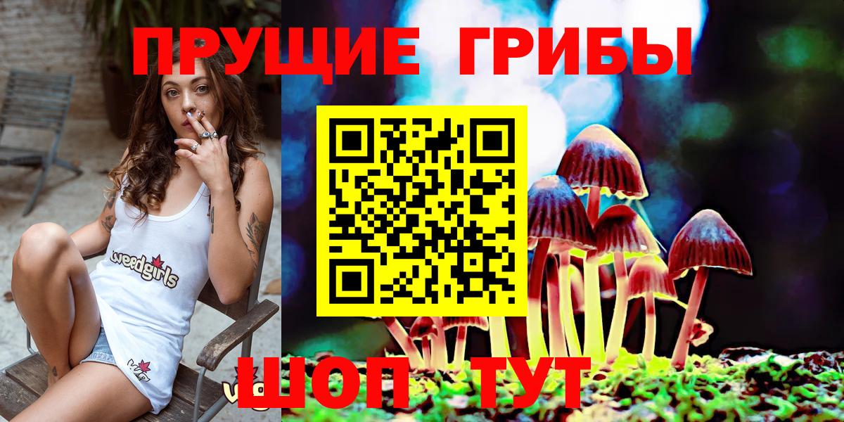 Галлюциногенные грибы GOLDEN TEACHER Славгород