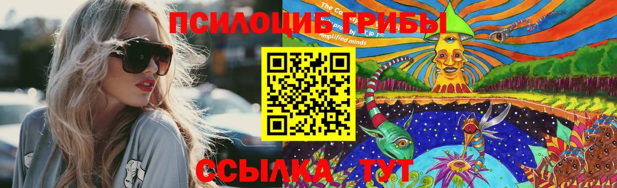Славгород  Псилоцибиновые грибы мухоморы  Псилоцибиновые грибы Cubensis  Вход с VPN 